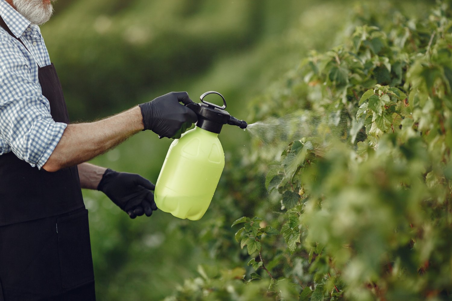 Bioestimulantes Agrícolas, Definición, Principales Categorías y Regulación a Nivel Mundial