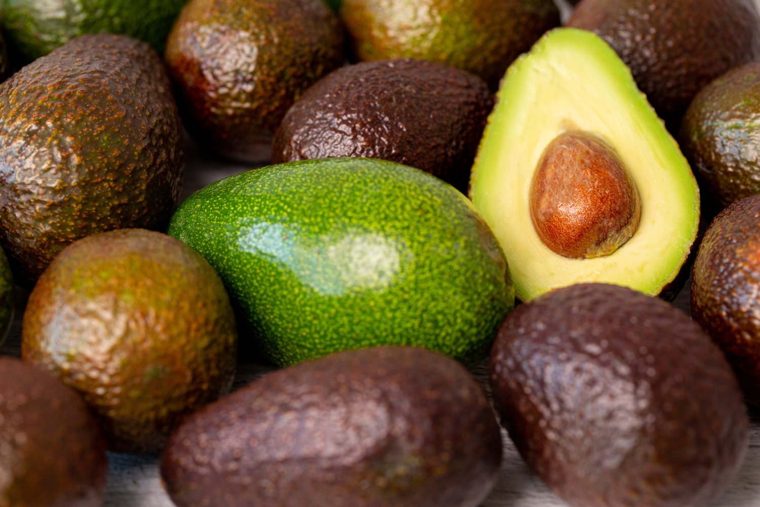 Colombia podría ser el segundo productor mundial de aguacate Hass