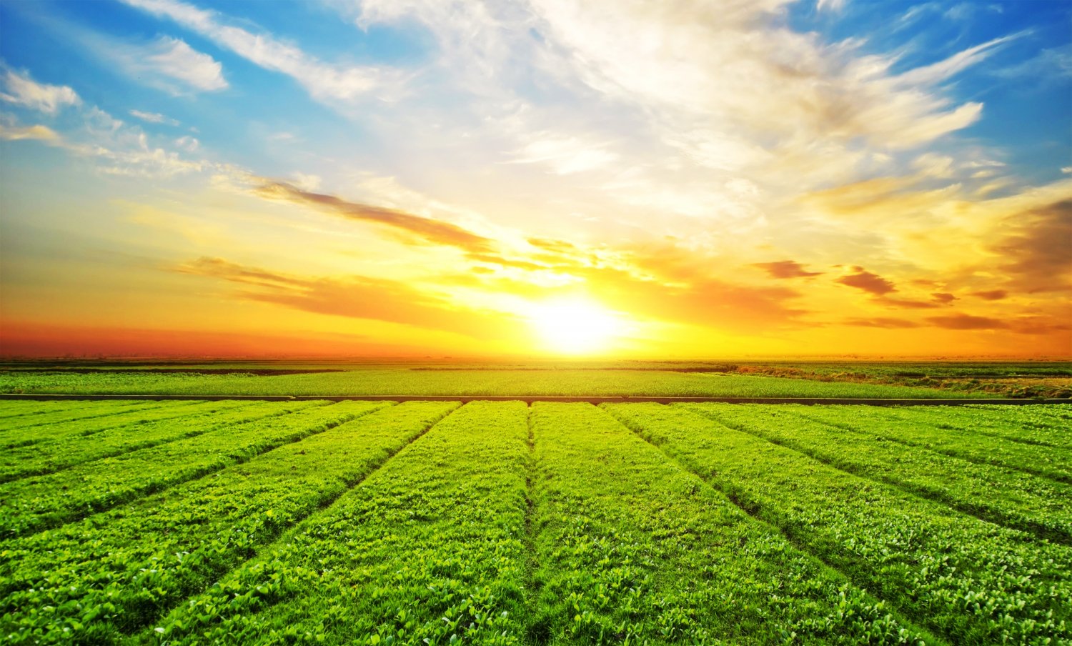 Frontera agrícola nacional: la cancha del sector agropecuario para el desarrollo rural sostenible